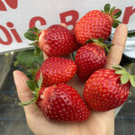 姫路ハートフル観光農園 - 