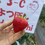 姫路ハートフル観光農園 - 