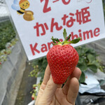 姫路ハートフル観光農園 - 