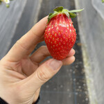 姫路ハートフル観光農園 - 