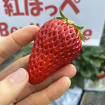 姫路ハートフル観光農園 - 