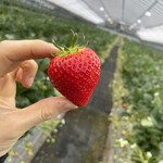 姫路ハートフル観光農園 - 