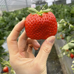 姫路ハートフル観光農園 - 