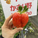 姫路ハートフル観光農園 - 