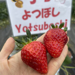 姫路ハートフル観光農園 - 