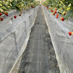 姫路ハートフル観光農園 - 