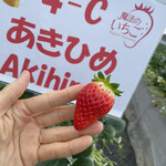 姫路ハートフル観光農園 - 