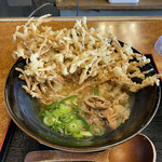 四國うどん - 豚肉ごぼう天うどん