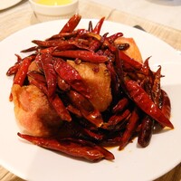 CINA New Modern Chinese - 