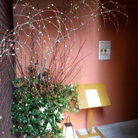 伊豆の旬 やんも 南青山店 - 