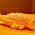 鮨 はしもと - 2021.12.  春子鯛