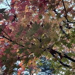 鹿教湯 三水館 - 