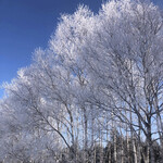 はらへー太 - 然別湖周辺の霧氷（友人が送ってくれた）