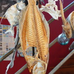 平塚漁港の食堂 - 魚の骨の吊り飾り（３）