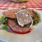 TRATTORIA E PIZZERIA ELEFANTE - 