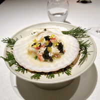 レフェルヴェソンス - 