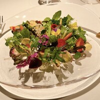 レフェルヴェソンス - 