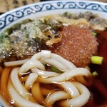 Tokiwaasahi - うどんの麺の表情。