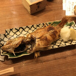 吟魚のはなれ  吟チロリ - 