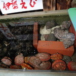 網元イタリアン - 