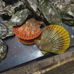 網元イタリアン - 