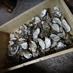 網元イタリアン - 