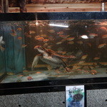 網元イタリアン - 