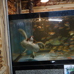 網元イタリアン - 