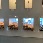 バゲット ラビット - 