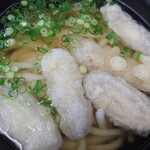 うどんの天水 - ごぼう天うどん500円