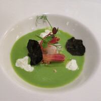 スプレンディード - 