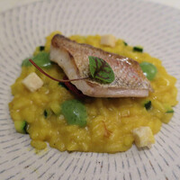 スプレンディード - 