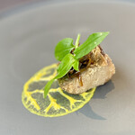 プレゼンテ スギ - コイ