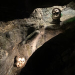 ニンジャ トウキョウ - 