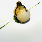 レフェルヴェソンス - スペシャリティの蕪: これはもうお馴染みですね！