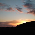 さかなどころ ともさき - 