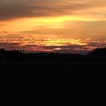 さかなどころ ともさき - 