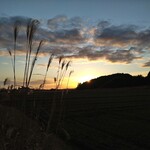 さかなどころ ともさき - 