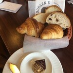 バード・ウォッチ・カフェ - 