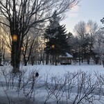 バード・ウォッチ・カフェ - 