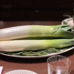 スガラボヴィー - 