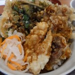 Tendon Tenya - 