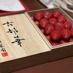 スガラボヴィー - 