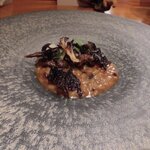 IL TEATRINO DA SALONE - リゾット　ラディッキオ　鴨（2021.12）