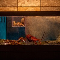 ステーキ割烹 DANRO' - 