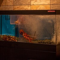 ステーキ割烹 DANRO' - 