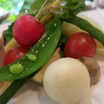 IL PINOLO LEVITA - バーニャカウダ　小カブ　ラディッシュ　プチトマト　クワイ　ヤングコーン　カブ　インゲン　スナップエンドウミニ白菜　トレビス　1000円