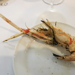 IL PINOLO LEVITA - スカンピ