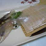 味処 大丸 - イカの姿づくり