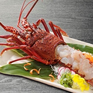 [Our specialty] Directly delivered from Mie Prefecture! Ise lobster sashimi